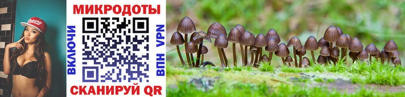 гидра как зайти  Льгов  Псилоцибиновые грибы Cubensis 