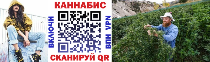 где купить наркоту  Льгов  Канабис планчик 